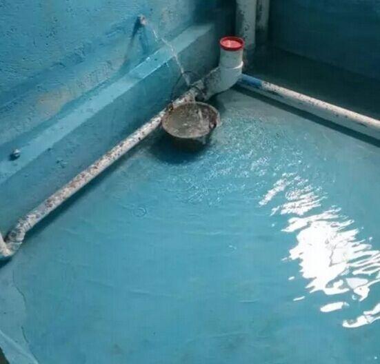 「防水涂料招商加盟」常用的外墻防水涂料有哪些？